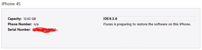Restore iPhone in Process