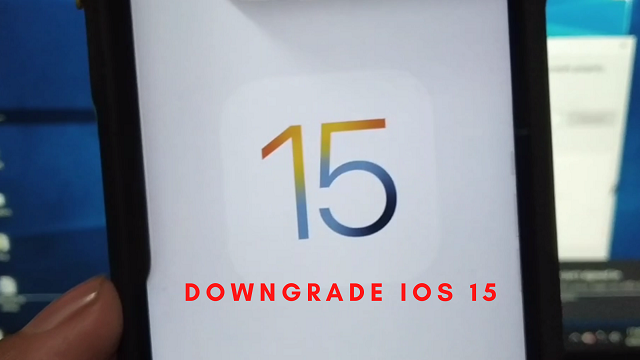 How to Downgrade iOS 15 to iOS 14 on Any iPhone